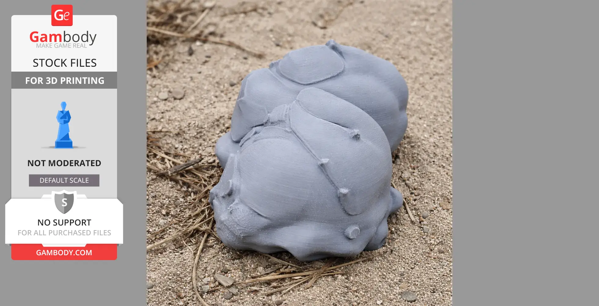 3D printed Sahelanthropus tchadensis skull replica on sandy ground.