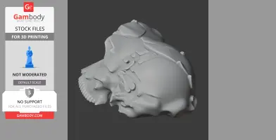 3D model of a Sahelanthropus tchadensis skull, showing detailed contours and features.