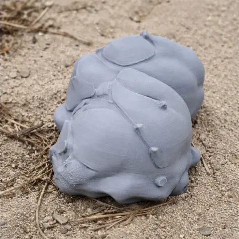 3D-printed Sahelanthropus tchadensis skull replica lying on sandy ground.