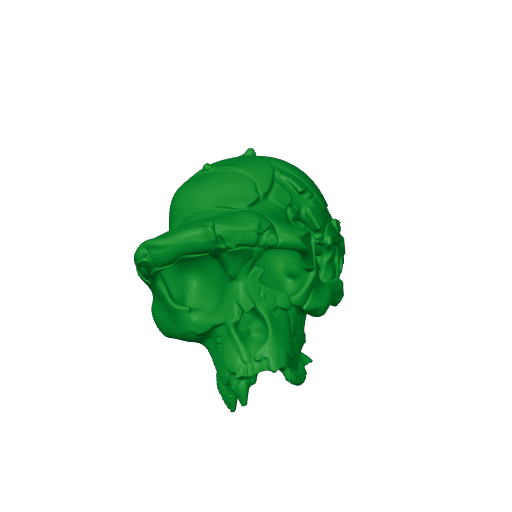 Sahelanthropus tchadensis Skull.3mf
