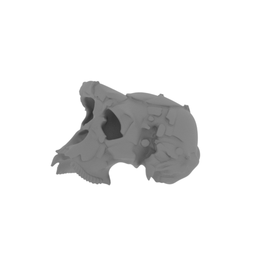 Sahelanthropus tchadensis Skull.stl