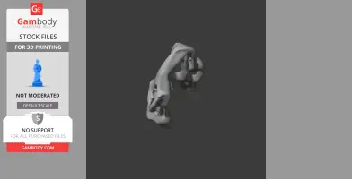 Saltriosaurus Skull - Skull Replica STL