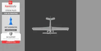 Top view of a 3D model airplane with wings and tail, ready for 3D printing.