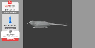Ayacucho thistletail - Prehistoric Animal STL