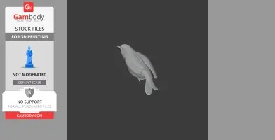Ayacucho thistletail - Prehistoric Animal STL
