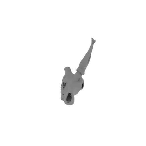 Sambar Skull.stl