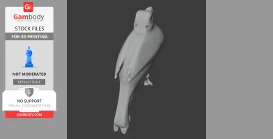 Ayeyarwady bulbul - Prehistoric Animal STL