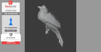 Ayeyarwady bulbul - Prehistoric Animal STL