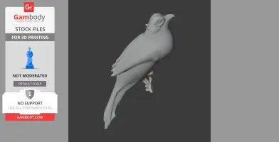 Ayeyarwady bulbul - Prehistoric Animal STL