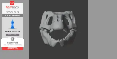 Sandstone Pseudantechinus Skull - Skull Replica STL