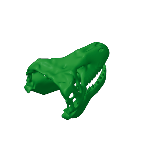 Sandstone Pseudantechinus Skull.3mf