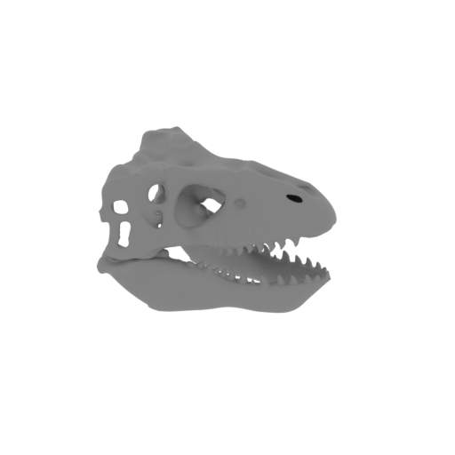 Sandstone Pseudantechinus Skull.stl