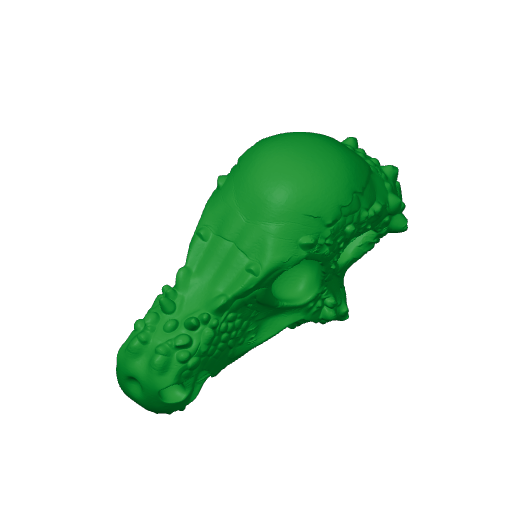 Sanpasaurus Skull.3mf