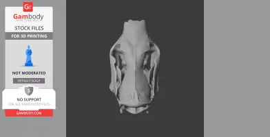 Saola Skull - Skull Replica STL