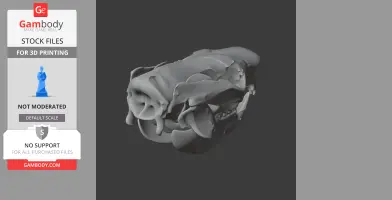 Saola Skull - Skull Replica STL