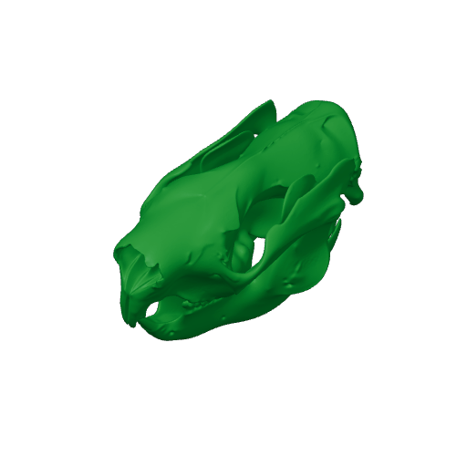 Saola Skull.3mf