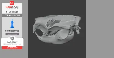 Saola Skull - Skull Replica STL
