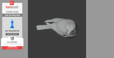 3D model of a bird, Azores bullfinch, for printing, viewed from above.