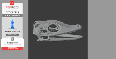 Satanic Leaf-tailed Gecko Skull - Skull Replica STL