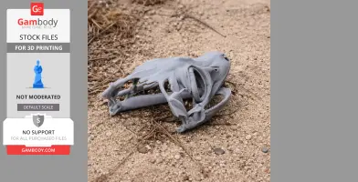 Satanic Leaf-tailed Gecko Skull - Skull Replica STL