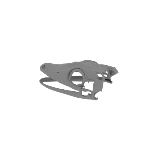 Satanic Leaf-tailed Gecko Skull.stl
