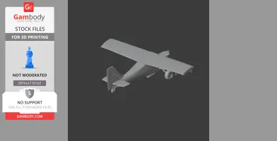 Gray 3D model of a small airplane, viewed from above, for 3D printing.