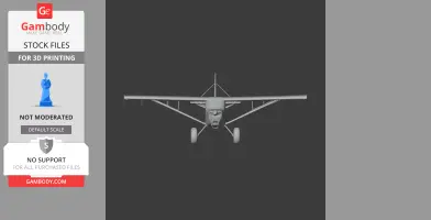 3D model of an American Champion Citabria airplane, front view, for 3D printing.
