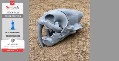 Sauraechinodon Skull - Skull Replica STL