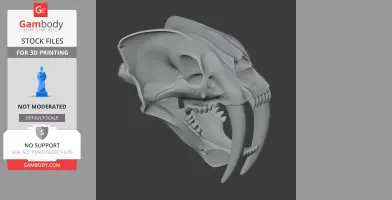 Sauraechinodon Skull - Skull Replica STL
