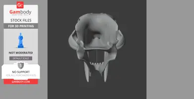 Sauraechinodon Skull - Skull Replica STL