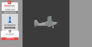American Champion Decathlon - Scale Vehicle STL