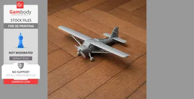 American Champion Decathlon - Scale Vehicle STL