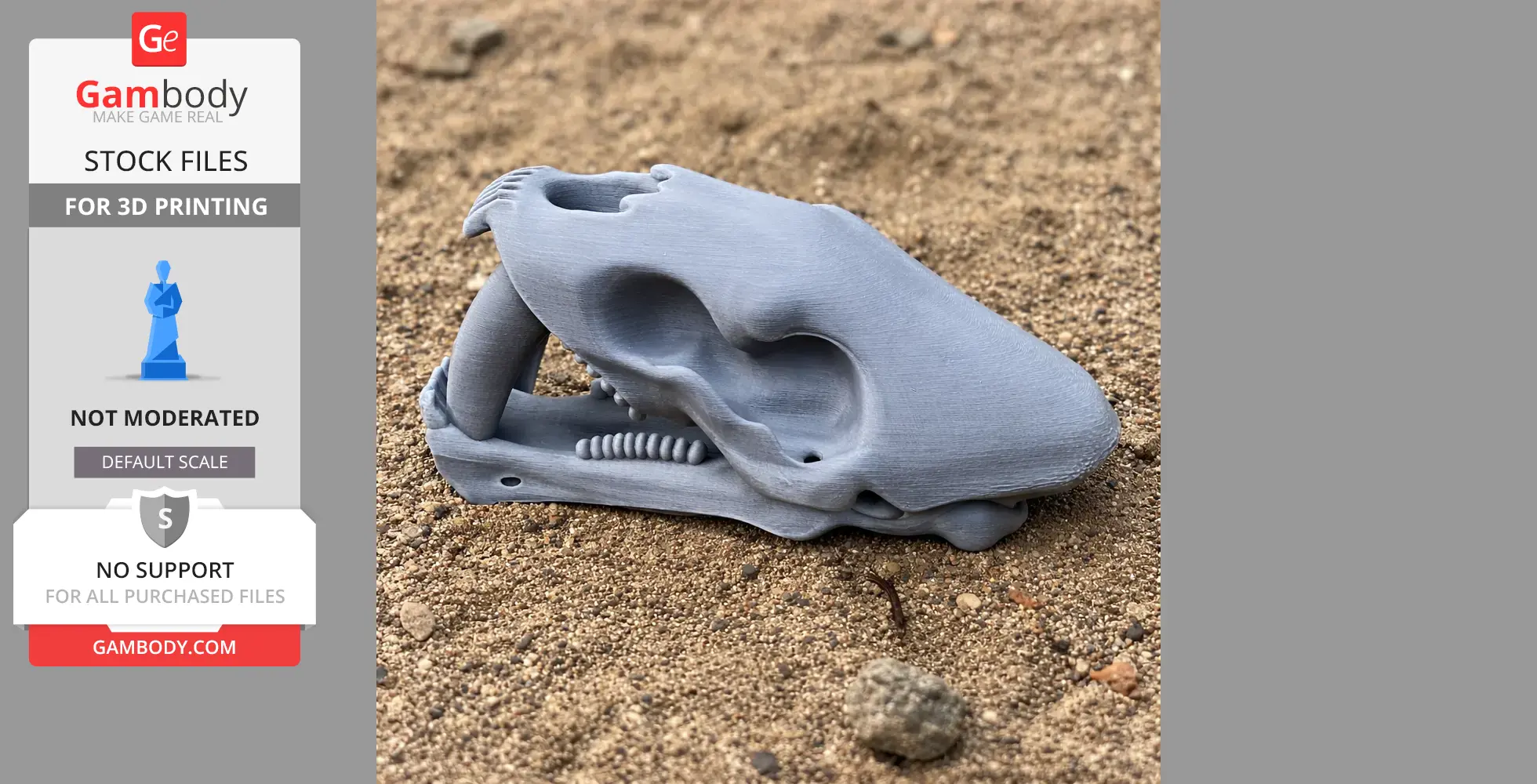 A gray 3D-printed Saurechinodon skull replica rests on a sandy surface.