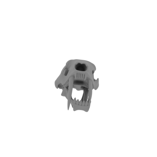 Saurechinodon Skull.stl