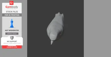 Azores chaffinch - Prehistoric Animal STL