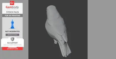 Azores chaffinch - Prehistoric Animal STL