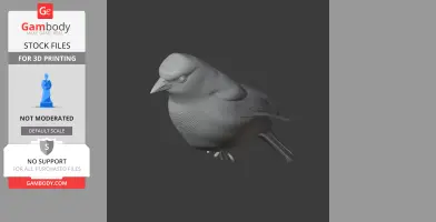 Azores chaffinch - Prehistoric Animal STL