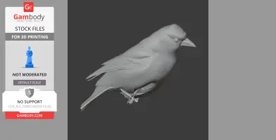 Azores chaffinch - Prehistoric Animal STL