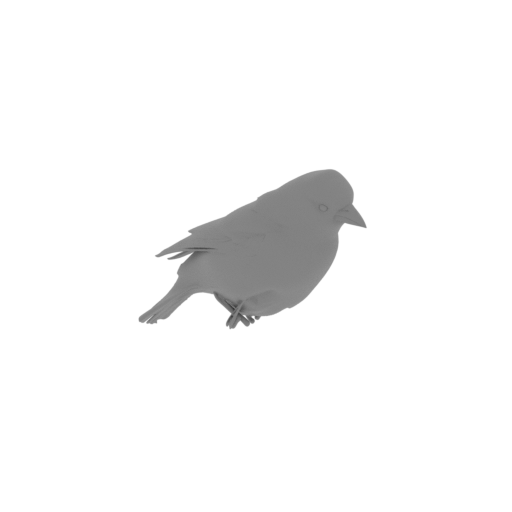 Azores chaffinch.stl