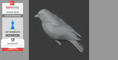 Azores chaffinch - Prehistoric Animal STL
