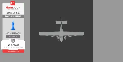 American Champion Super Decathlon - Scale Vehicle STL