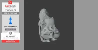 Sauroplites Skull - Skull Replica STL