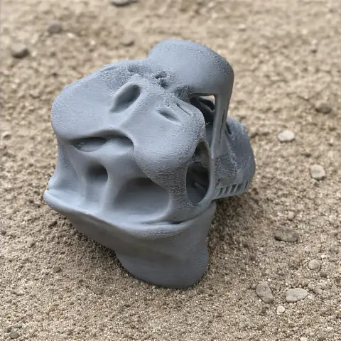 3D-printed gray Sauroplites dinosaur skull replica on a sandy surface.