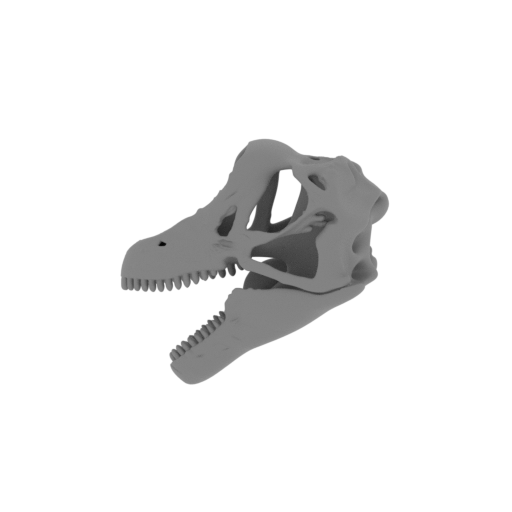 Sauroplites Skull.stl