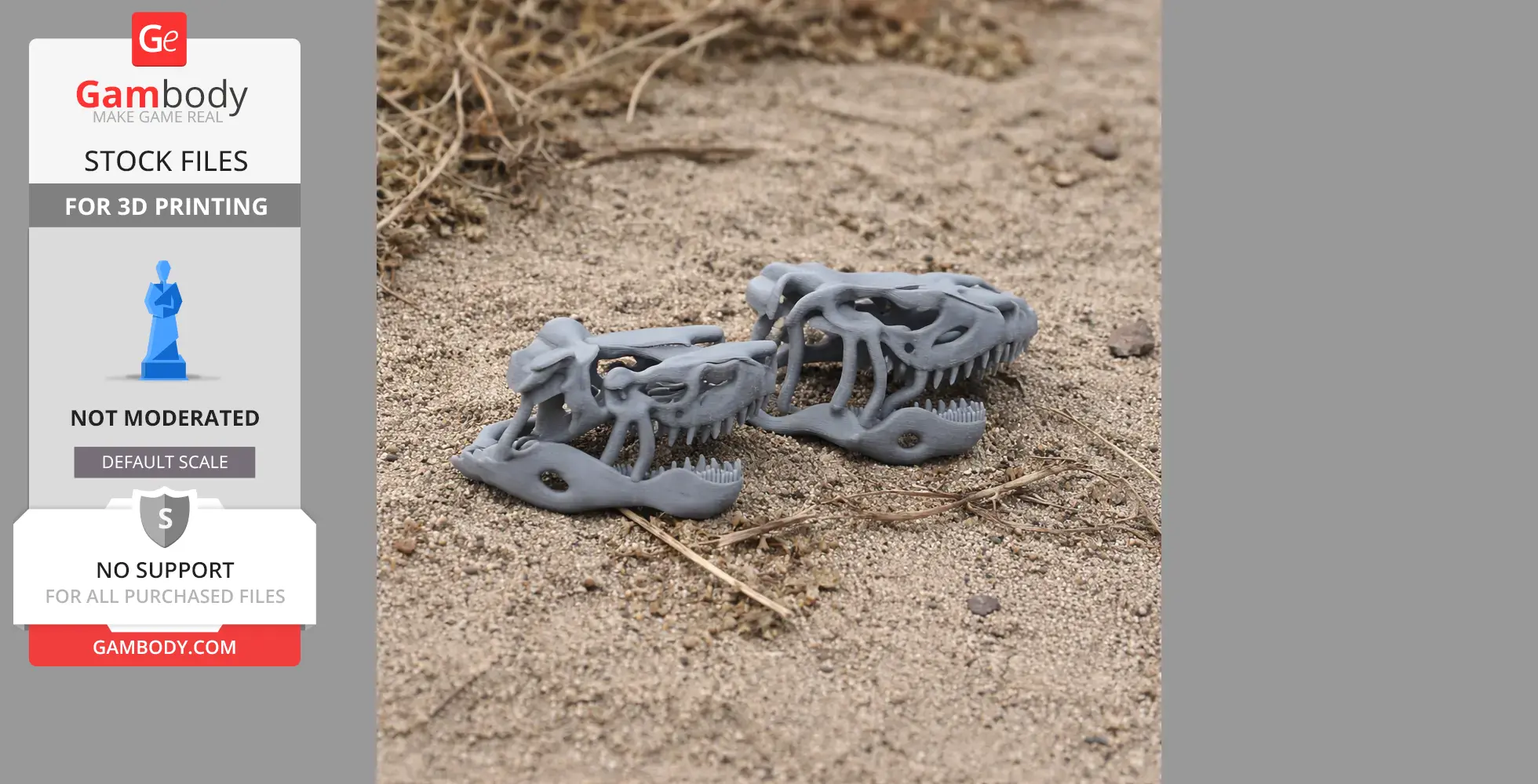 Gray 3D-printed replicas of Saurosuchus skulls on sandy ground surrounded by dried grass.