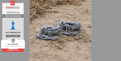 Gray 3D-printed replicas of Saurosuchus skulls on sandy ground surrounded by dried grass.