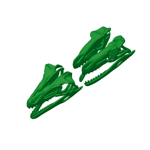 Saurosuchus Skull.3mf