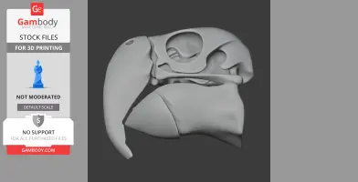 Scarlet Macaw Skull - Skull Replica STL