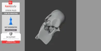 Scarlet Macaw Skull - Skull Replica STL