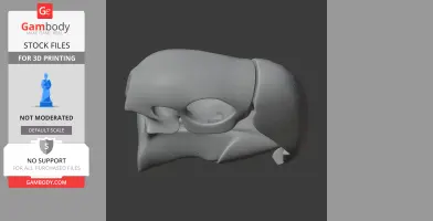 Scarlet Macaw Skull - Skull Replica STL